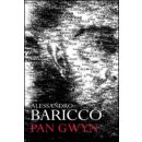 Pan Gwyn - Alessandro Baricco