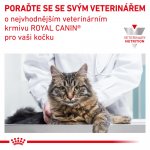 Royal Canin Veterinary Diet Cat Gastrointestinal 2 kg – Sleviste.cz