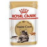 Royal Canin Mainecoon 12 x 85 g – Sleviste.cz
