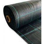 Bradas Premium Grid 1,6 x 100 m 100 g/m² černá – Sleviste.cz