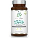 Cytoplan Adrenal support komplex pro nadledviny 60 vegan kapslí – Hledejceny.cz