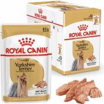 Royal Canin Yorkshire Adult 12 x 85 g – Zboží Mobilmania