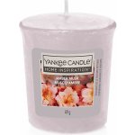 Yankee Candle Amber Musk 49 g – Hledejceny.cz