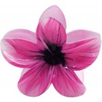 Skřipec na vlasy - "havajský květ" Barva: fialová – Zboží Dáma