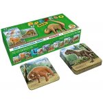 Betexa Pexetrio: Znáš dinosaury? – Zboží Dáma