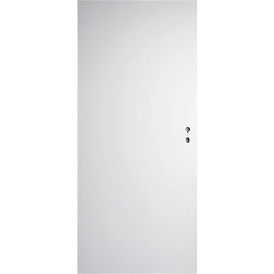 ALU-DOOR Pozinkované dveře bílý 60 x 197 cm – Zbozi.Blesk.cz