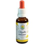 Salvia Paradise Třezalka tečkovaná AF tinktura 30 ml – Hledejceny.cz