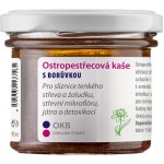 Dědek kořenář Ostropestřecová kaše s borůvkou 90 ml – Hledejceny.cz