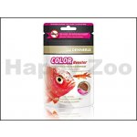 Dennerle Color Booster 100 ml – Zbozi.Blesk.cz