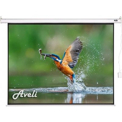 AVELI 119" 4:3 XRT-00173 – Zboží Mobilmania