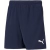 Dětské kraťasy a šortky Puma team Goal 23 Knit Shorts jr