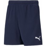 Puma team Goal 23 Knit Shorts jr – Zboží Mobilmania