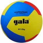 Gala Volleyball 12 BV 5555 – Sleviste.cz