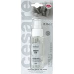 Mr&Mrs Fragrance Cesare Spray Fresh Air – Hledejceny.cz