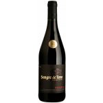 Torres Gran Sangre De Toro 14% 0,75 l (holá láhev) – Zbozi.Blesk.cz