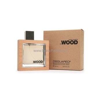 Dsquared2 He Wood Rocky Mountain Wood toaletní voda pánská 100 ml