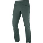 Salomon WAYFARER ALPINE PANT zelená – Hledejceny.cz