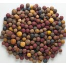 Mivardi Vnadící boilies Rapid Multi mix 5kg