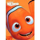 Hledá se Nemo DVD