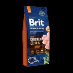 Brit Premium By Nature Sport Chicken 15 kg – Sleviste.cz