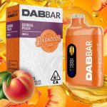 THC X Aromalampa DabBar 2 ml Georgia Peach Indica – Hledejceny.cz