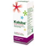 KALOBA 20 MG/7,5 ML SIRUP POR SIR 100ML – Sleviste.cz
