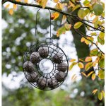 Kerbl Circle Závěsné krmítko pro ptáky kroužek na lojové kuličky 24 x 8 x 24 cm kov 87045 – Hledejceny.cz