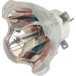 Lampa pro projektor PANASONIC PT-VW431D, originální lampa bez modulu – Zboží Živě