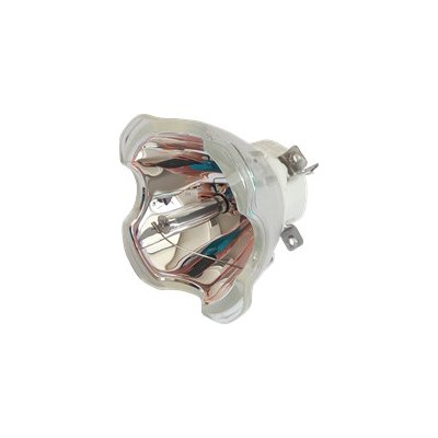 Lampa pro projektor PANASONIC PT-VW431D, originální lampa bez modulu – Zboží Živě