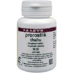 Sinecura Prorostlík Chaihu extrakt 20 g – Hledejceny.cz