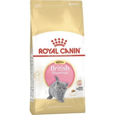 Royal Canin Krmivo pro kočky FBN Kitten British Shorthair 2 kg – Hledejceny.cz