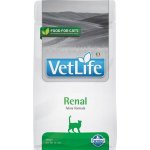 Vet Life Cat Renal 0,4 kg – Hledejceny.cz