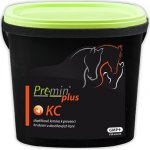Premin plus KC Pro dostihové koně v plné zátěži jako prevence proti krvácení 5 kg – Hledejceny.cz