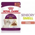 Royal Canin Sensory Smell gravy 12 x 85 g – Hledejceny.cz