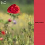 Dulux COW ohnivé flamenco 2,5 L – Sleviste.cz