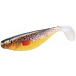 Delphin Bomb! Hypno 17 cm 3D TROUT 2 ks – Hledejceny.cz