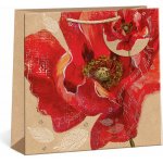 ARGUS Dárková papírová taška (24 x 24 cm) 07400006 – Zboží Živě