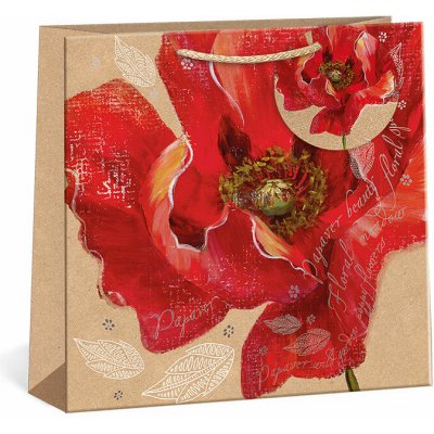 ARGUS Dárková papírová taška (24 x 24 cm) 07400006 – Zboží Živě