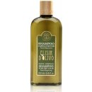 Erbario Toscano Elisir D'Olivo vlasový šampon s olivovým olejem 250 ml