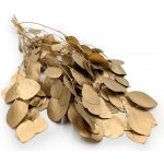 mech-mech.cz Stabilizovaný eukalyptus Populus - Zlatý – Zboží Dáma