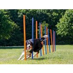 Trixie agility slalom tyče 12ks – Zbozi.Blesk.cz