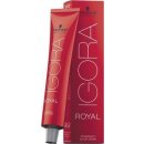 Schwarzkopf Igora Royal 7-55 střední blond zlatá extra 60 ml