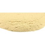 Šatavari prášek z kořene 100g – Zboží Dáma
