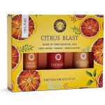 Song of India Essential Oil Aromaterapeutický set Citrus Blast 3 x 5 ml – Hledejceny.cz