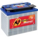 Banner Energy Bull 12V 60Ah 95501