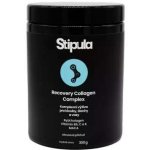 Stipula Recovery Collagen Complex 300 g – Hledejceny.cz