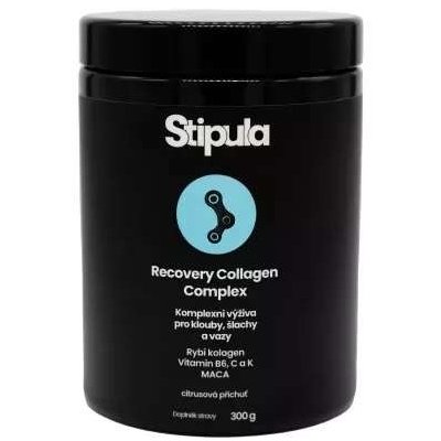Stipula Recovery Collagen Complex 300 g – Hledejceny.cz