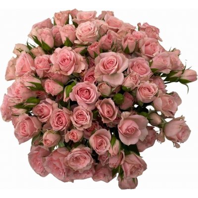Kytice 100+ květů růží LYDIA 40 cm – Hledejceny.cz