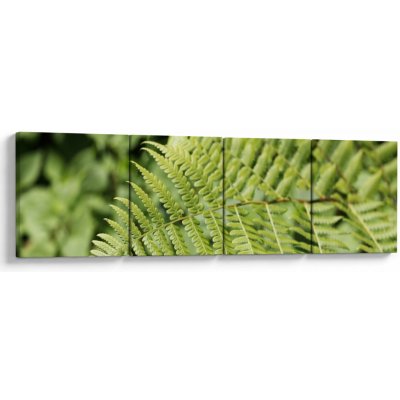 Obraz - Kapradinový list, Čtyřdílný 160x40 cm – Hledejceny.cz