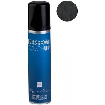 Labor Pro Perfect TouchUp Sprej na šediny a odrosty Černá 75 ml